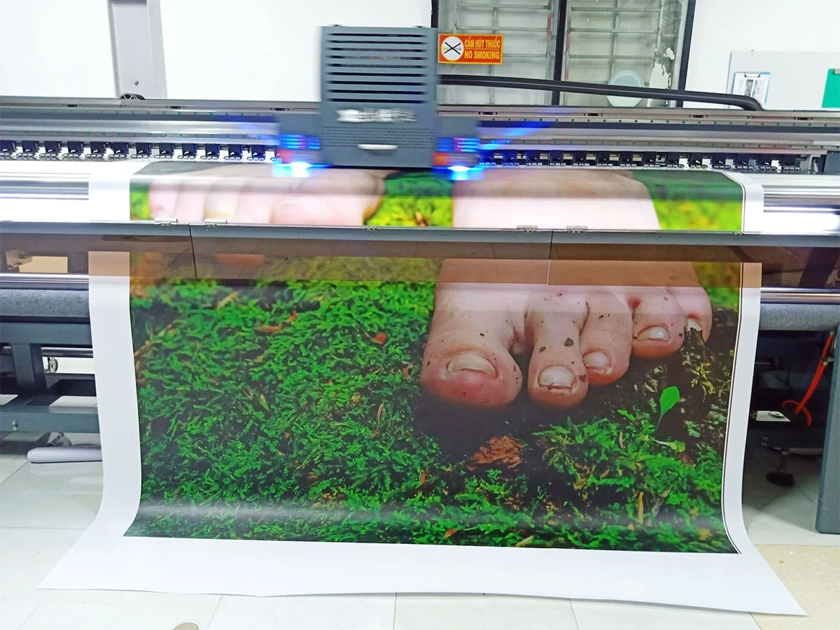 In UV - PP